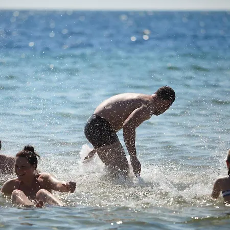 Holiday X *